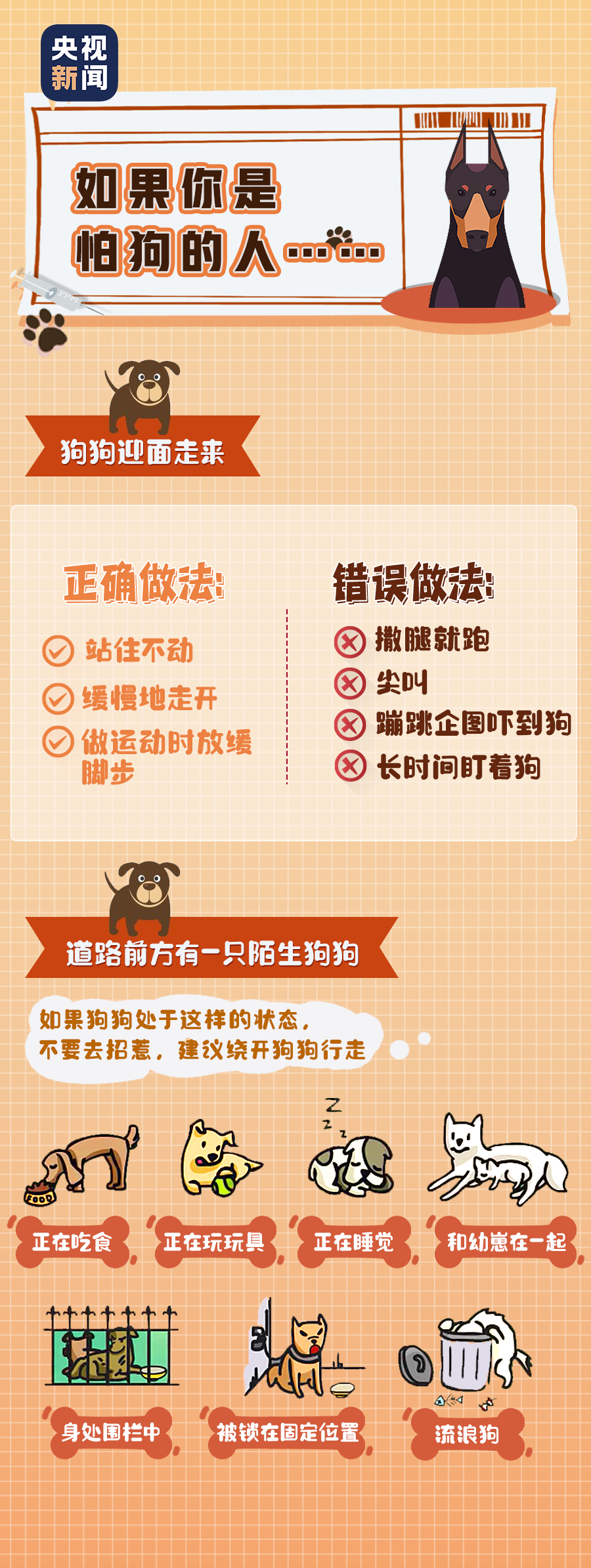 6.png 6.png