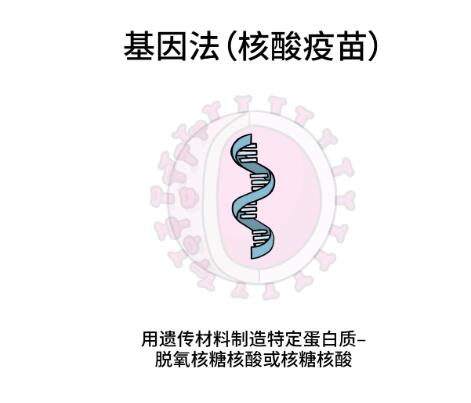 QQ截圖20210302093324.jpg