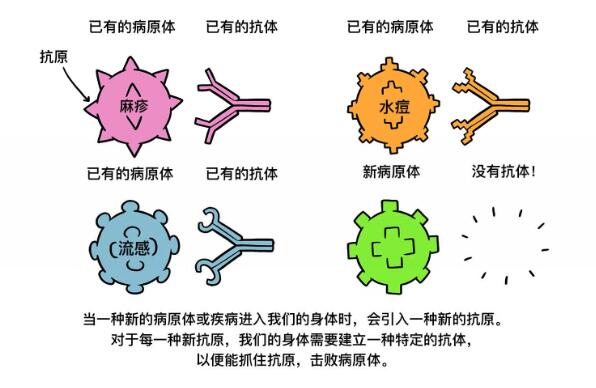 QQ截圖20210303161532.jpg