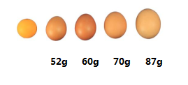 640 (5).png