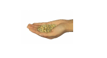 640 (8).png